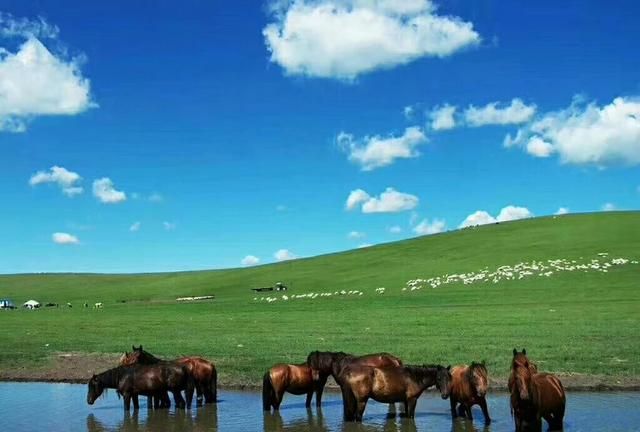 内蒙古大草原旅游攻略，内蒙古大草原的旅游攻略图5