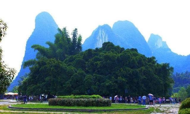 桂林的四大著名景点，海南十大著名景点是哪些图12