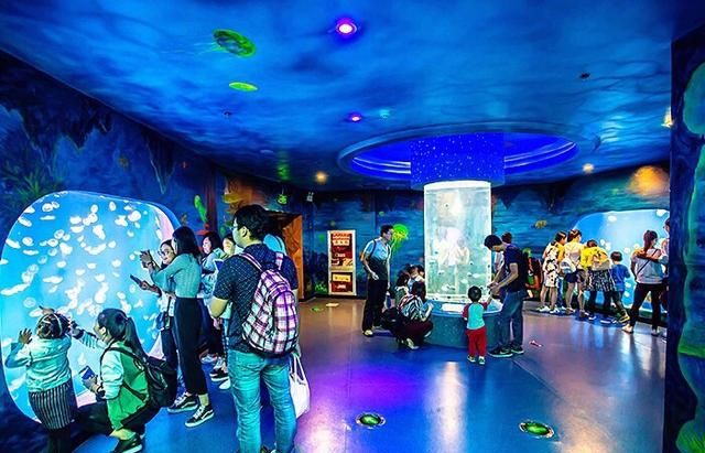 中国最值得去的海洋馆，中国最好的海洋馆水族馆在哪里图1