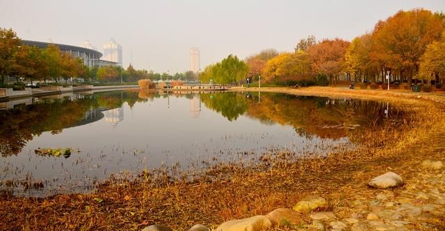 森林公园，天津的森林公园有哪些图9