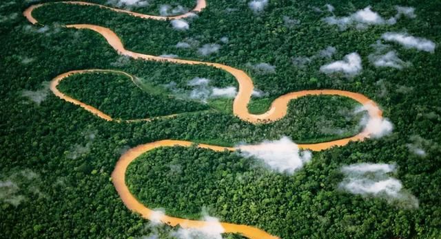 亚马逊河为什么是人类禁区图1