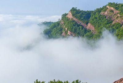 梧州有什么景点推荐一日游的图9