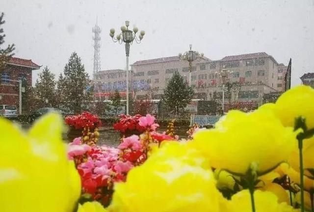 乌鲁木齐什么时候下雪,乌鲁木齐5月下雪图7