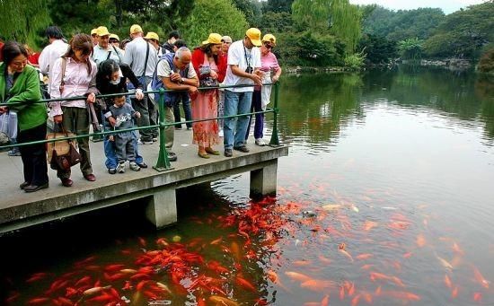 杭州西湖是怎么出名的图10