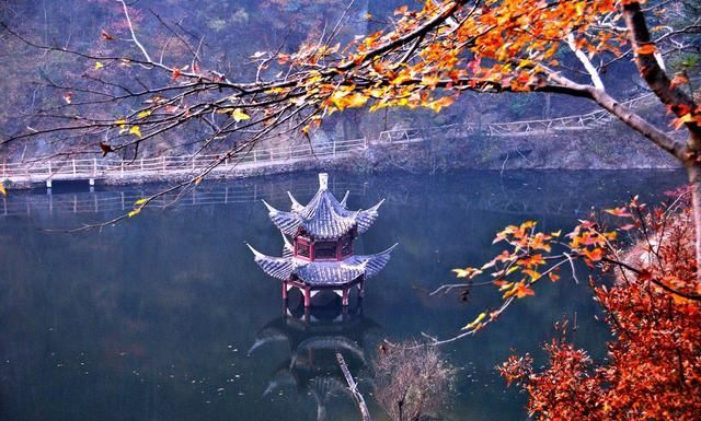 武汉周边的秋景怎么样啊图1