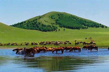 多伦湖蒙古包风情园图46